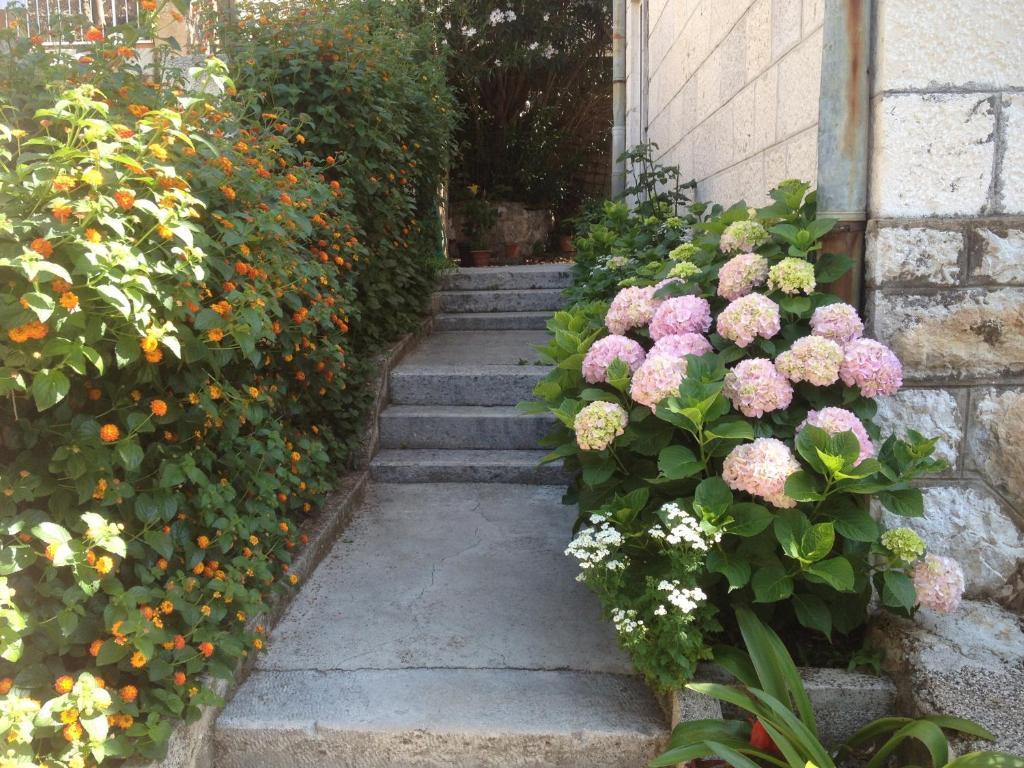 Apartment Flora Dubrownik Zewnętrze zdjęcie